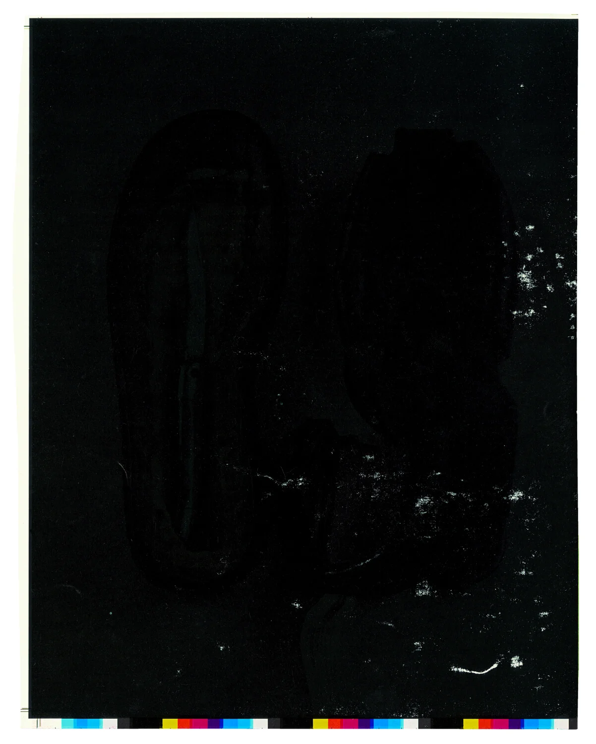 Scarti — The Late Estate Broomberg & Chanarin